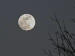 full-moon.jpg full-moon.jpg