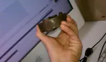 imag0591.jpg imag0591.jpg